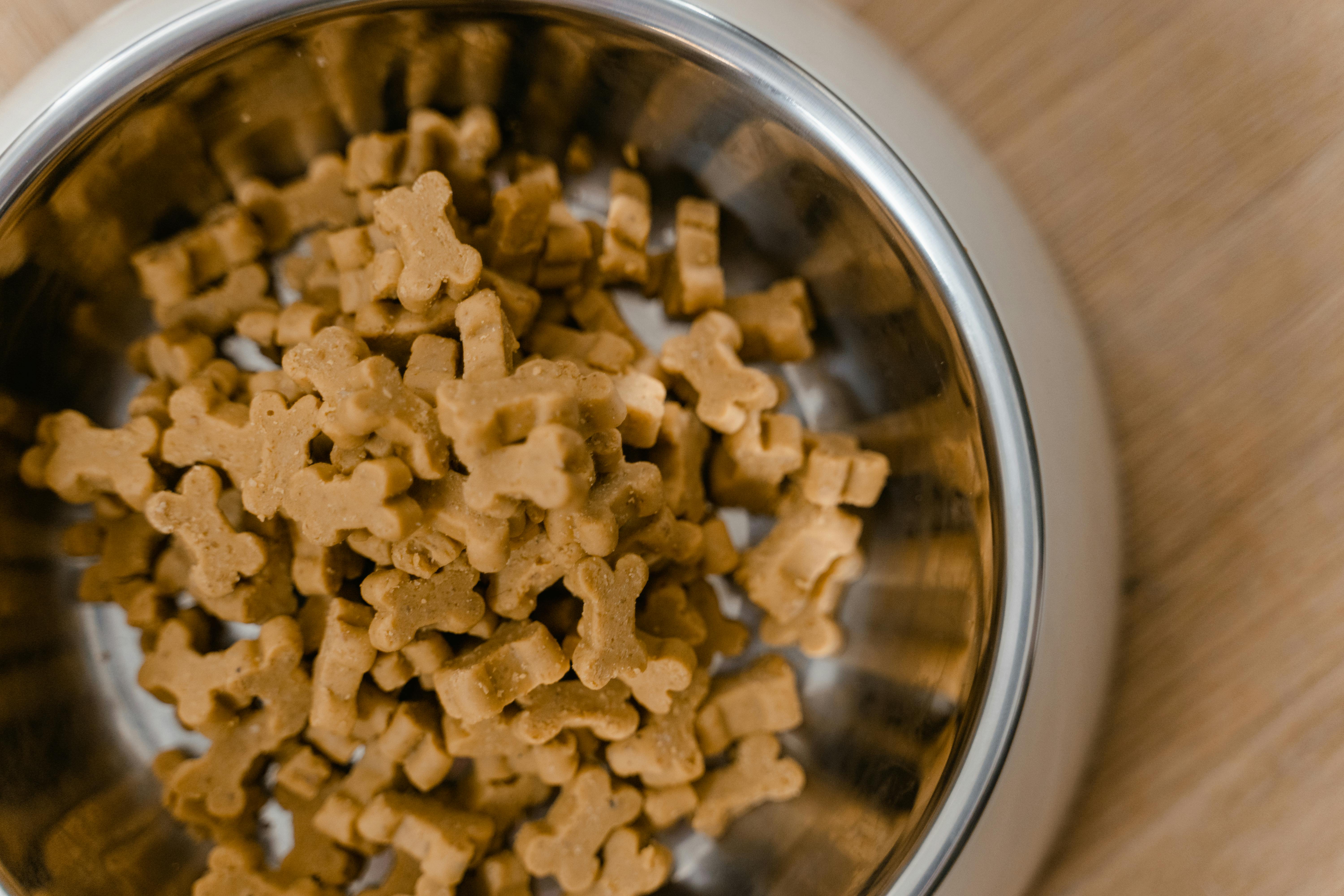Natural Cat Food