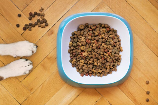 Premium Dog Food