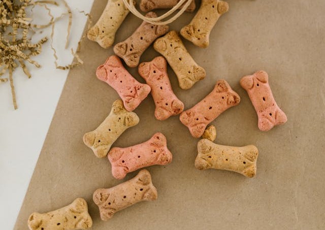Premium Dog Food